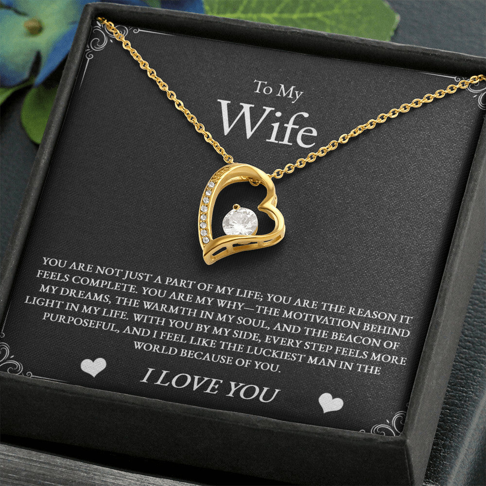 Romantic necklace for wife with message card, "You Are My Reason." A touching gift that expresses how much she means to you, perfect for anniversaries, birthdays, or just because.